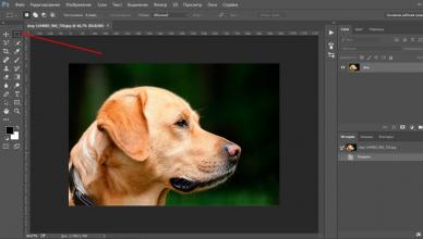 Как быстро уменьшить размер изображения в Photoshop и сохранить качество Как в фотошопе уменьшить изображение